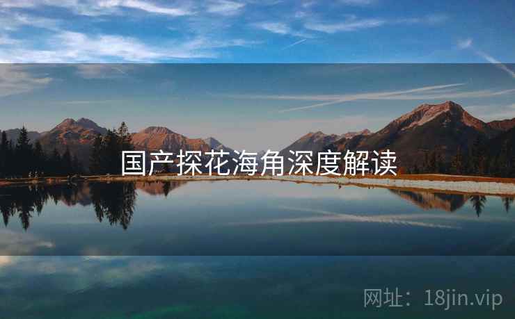 国产探花海角深度解读