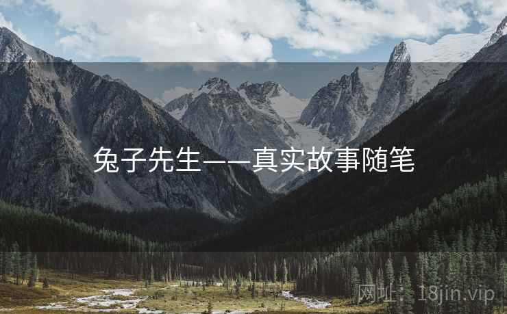 兔子先生——真实故事随笔