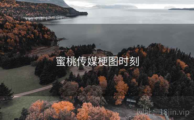 蜜桃传媒梗图时刻