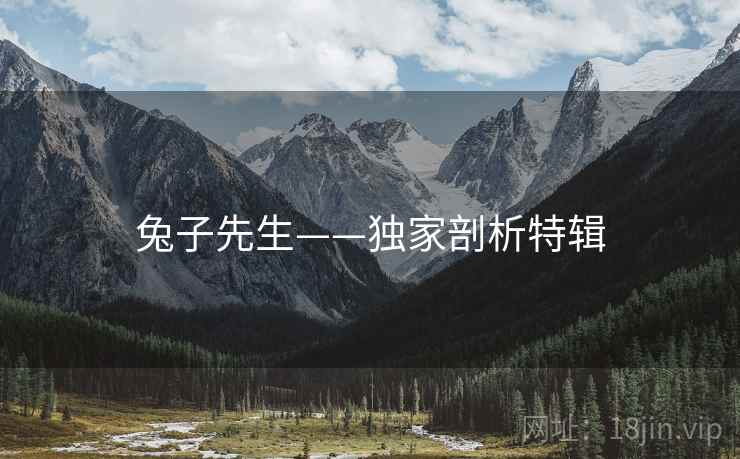 兔子先生——独家剖析特辑