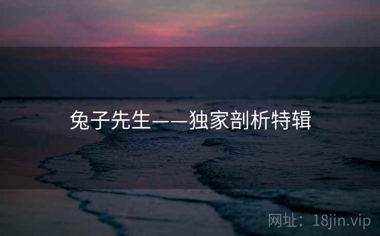 兔子先生——独家剖析特辑