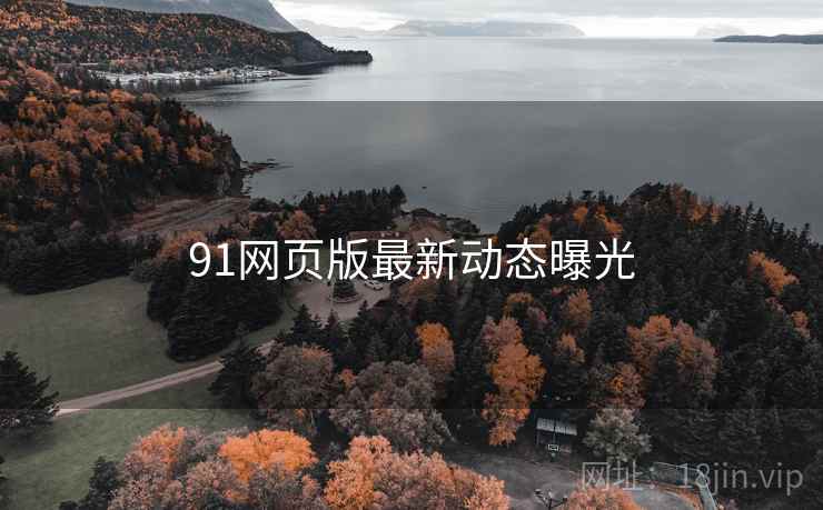 91网页版最新动态曝光