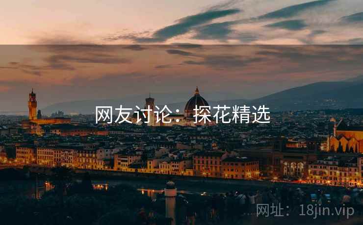网友讨论:探花精选