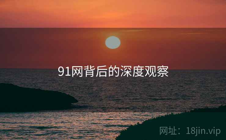91网背后的深度观察