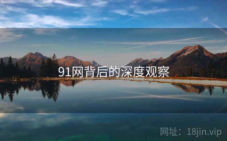 91网背后的深度观察
