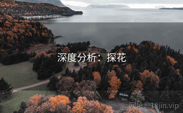 深度分析:探花