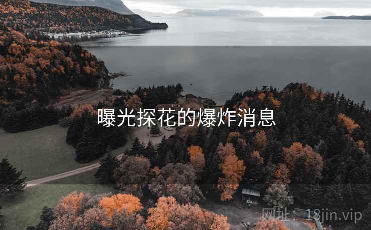 曝光探花的爆炸消息