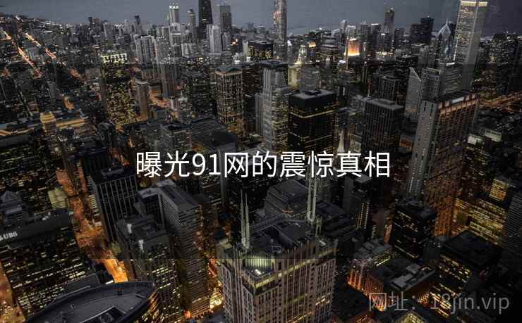 曝光91网的震惊真相