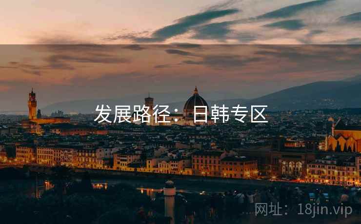 发展路径:日韩专区