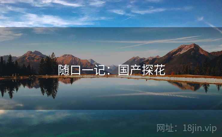 随口一记:国产探花