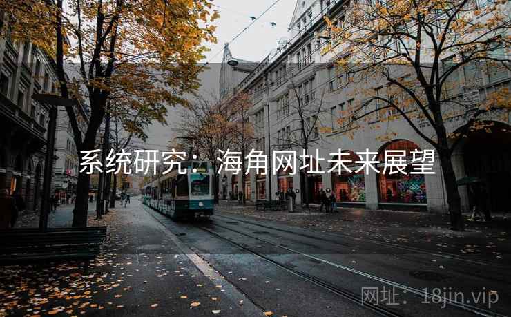 系统研究:海角网址未来展望