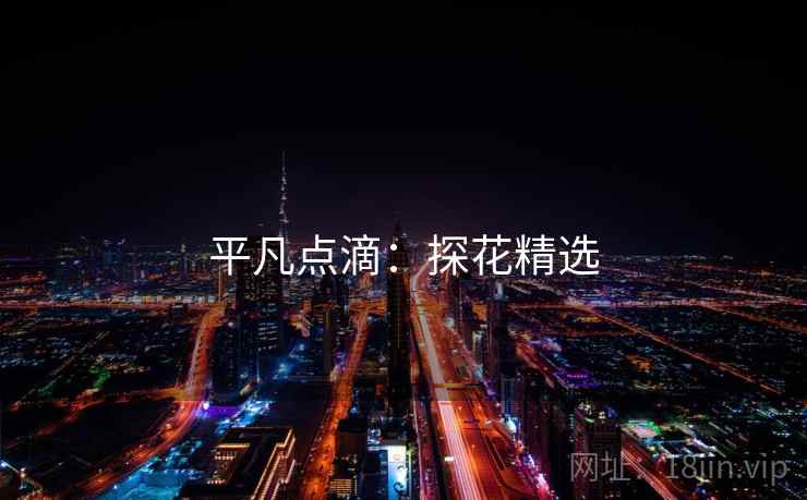 平凡点滴:探花精选