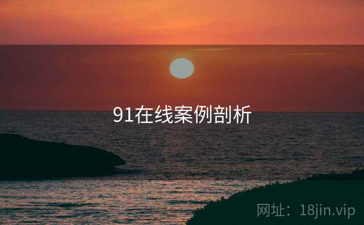 91在线案例剖析