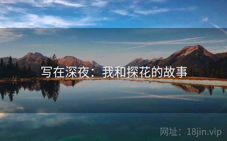 写在深夜:我和探花的故事