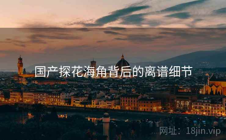 国产探花海角背后的离谱细节