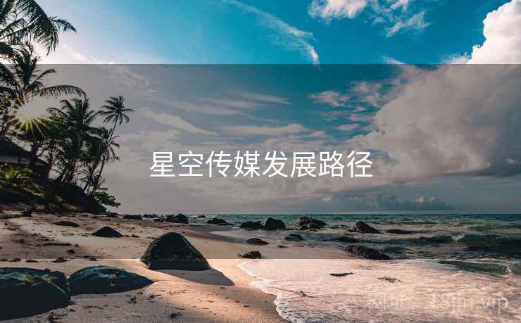 星空传媒发展路径