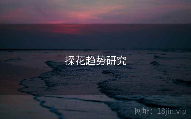探花趋势研究