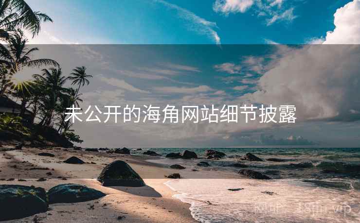 未公开的海角网站细节披露