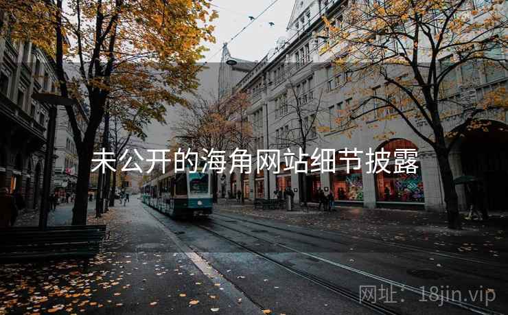 详细阅读:未公开的海角网站细节披露 未公开的海角网站细节披露