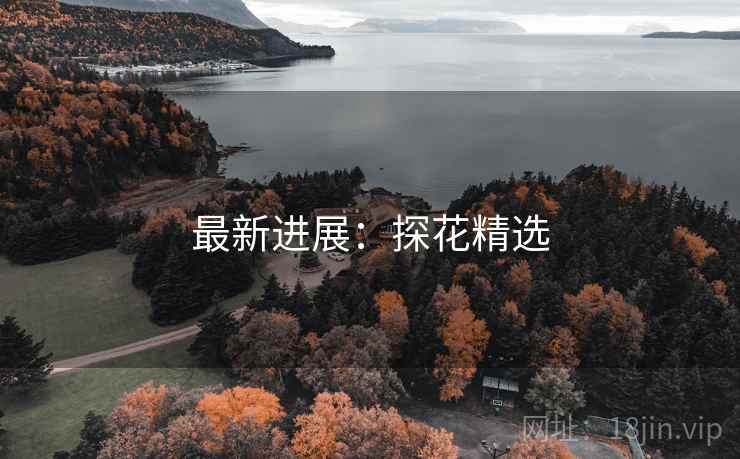 最新进展:探花精选