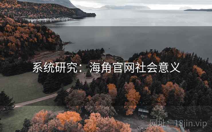 系统研究:海角官网社会意义