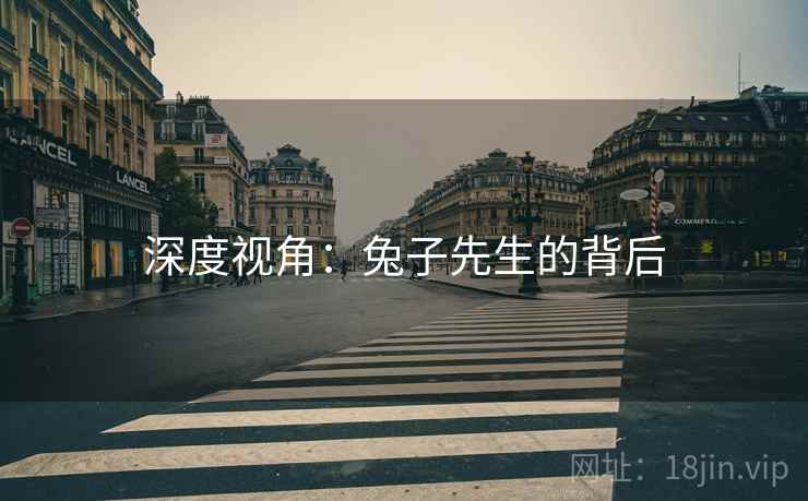 详细阅读:深度视角:兔子先生的背后 深度视角:兔子先生的背后
