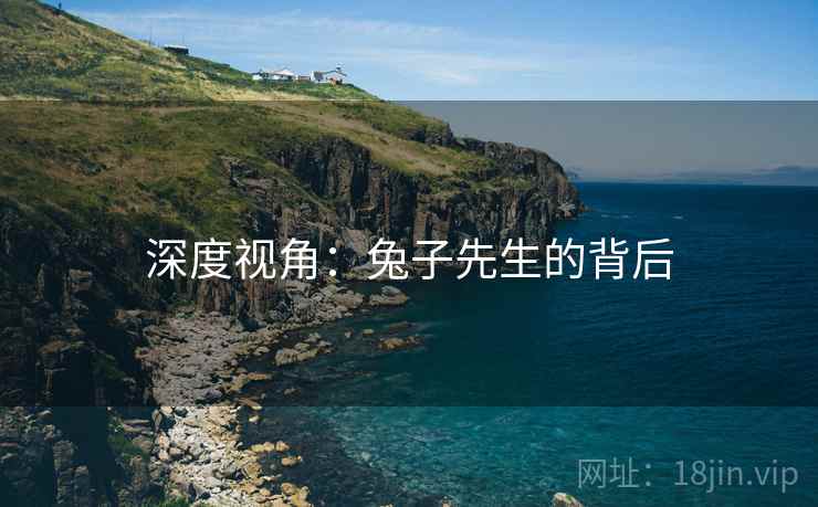 深度视角:兔子先生的背后